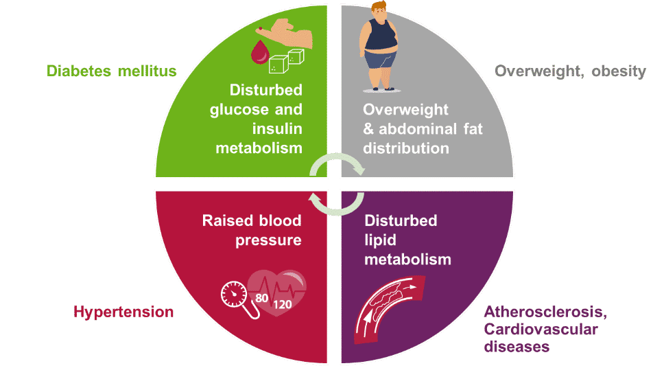 Figure 1: The cluster of diseases described as the metabolic syndrome or syndrome X. ®BENEO-Institute